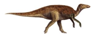 adrosauro 800