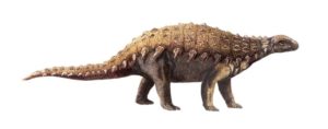 anchilosauro 800