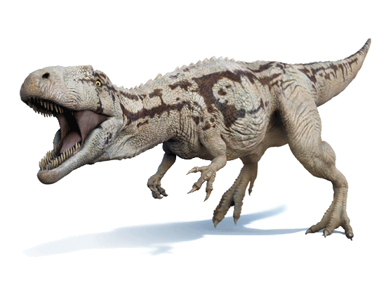 Carcharodontosaurus