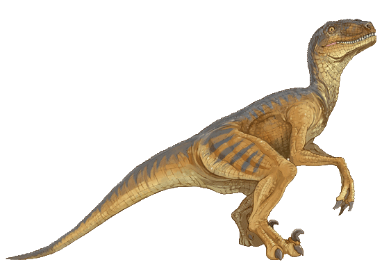 Deinonychus