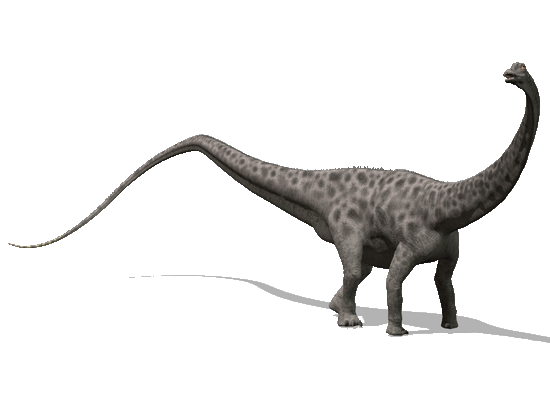 Diplodocus