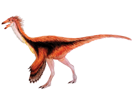 Gallimimus