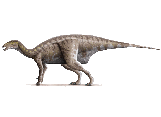 Iguanodon