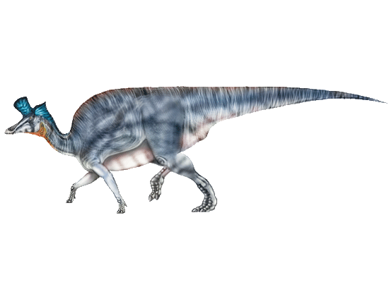 Lambeosaurus